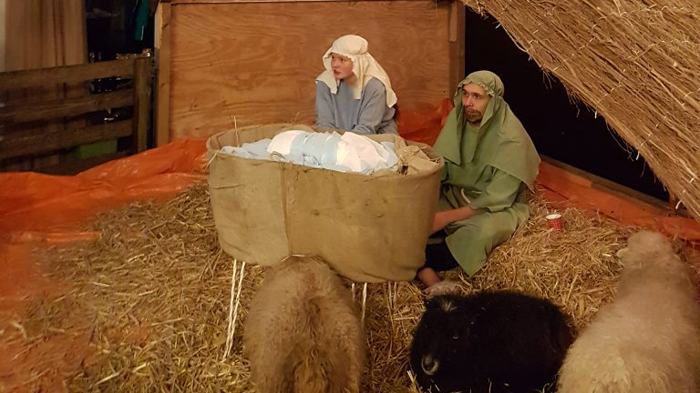 Levende kerststal en activiteiten in Protestantse Kerk Sint Pancras ?