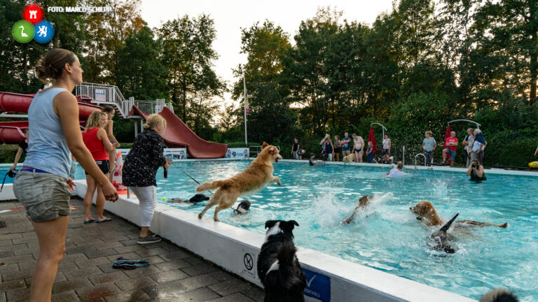 Zwembad De Bever sluit seizoen traditioneel af met Hondenzwemmen