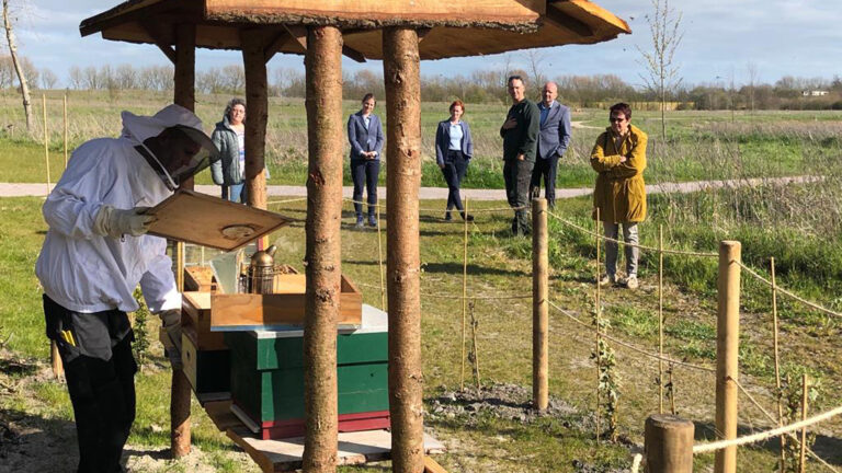 Twee bijenvolken krijgen nieuw thuis op Natuurbegraafplaats Geestmerloo