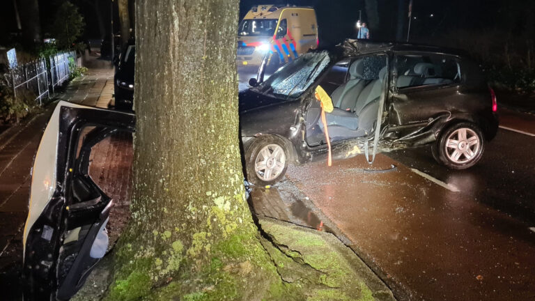 Automobilist ernstig gewond bij botsing tegen boom langs Heerenweg in Heiloo