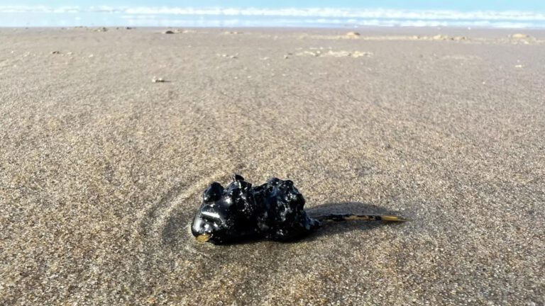 Herkomst op stranden aangespoelde olie is niet meer te achterhalen