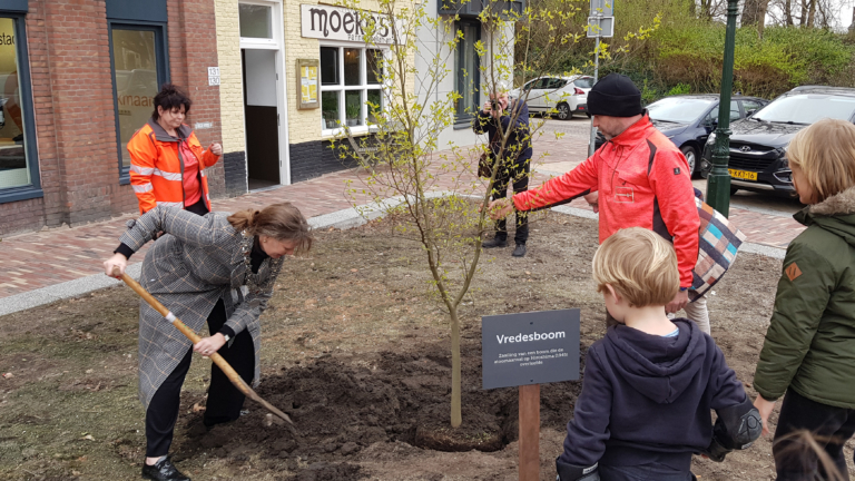Burgemeester Schouten plant Vredesboom op hoek Kanaalkade – Bolwerk
