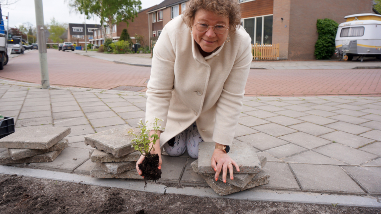 Dijk en Waard doet mee aan NK Tegelwippen: “Elke stap naar een groene gemeente helpt”