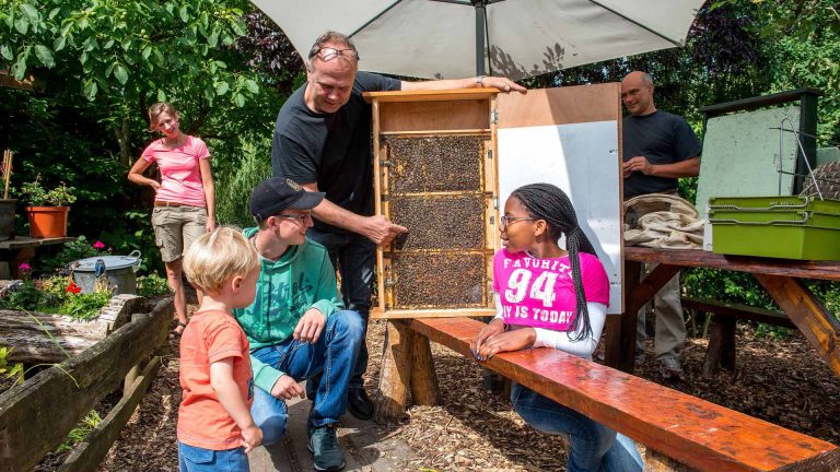 Bijen uit Alkmaar, Heiloo en Oudorp doen op 9 en 10 juli mee aan Landelijke Open Imkerijdagen 🗓