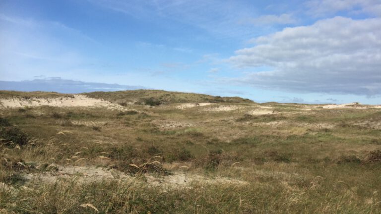 Vragen rond herkomst vele stikstof in duinen, provincie Noord-Holland wil duidelijkheid