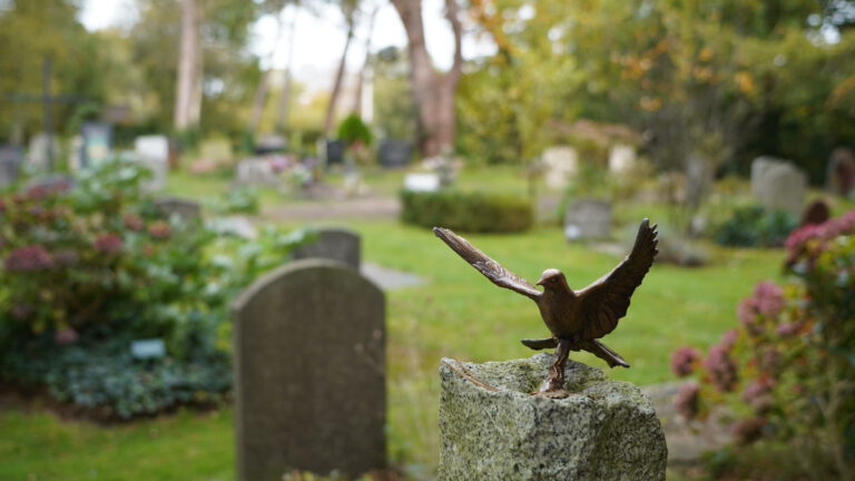 Kunstzinnige open dag begraafplaats Bergen op 22 oktober 🗓