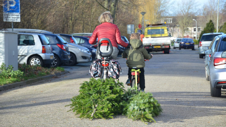 Gemeenteraad Dijk en Waard wil af van lootjes voor ingezamelde kerstbomen
