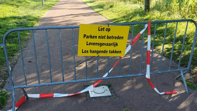 Groenwerkers in Alkmaar nog druk bezig met risicovolle situaties: “Dagelijks nog nieuwe meldingen”
